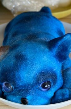 pierre-bark-bouncebellas