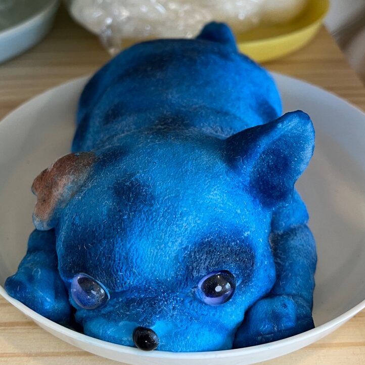 pierre-bark-bouncebellas