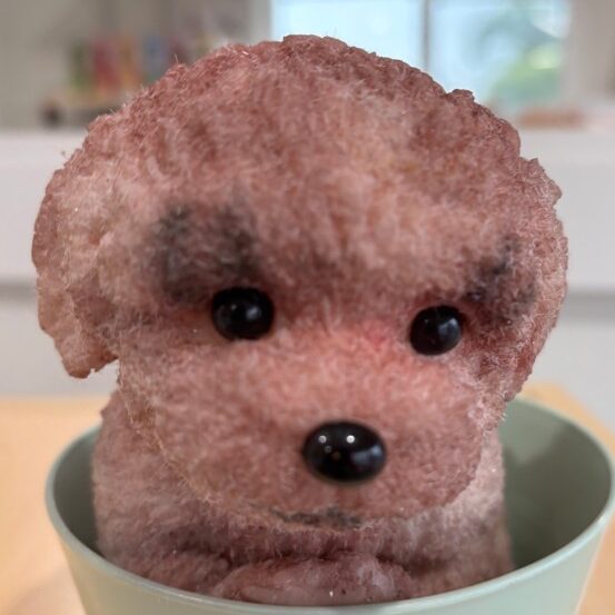 Coco-Paw-BounceBellas